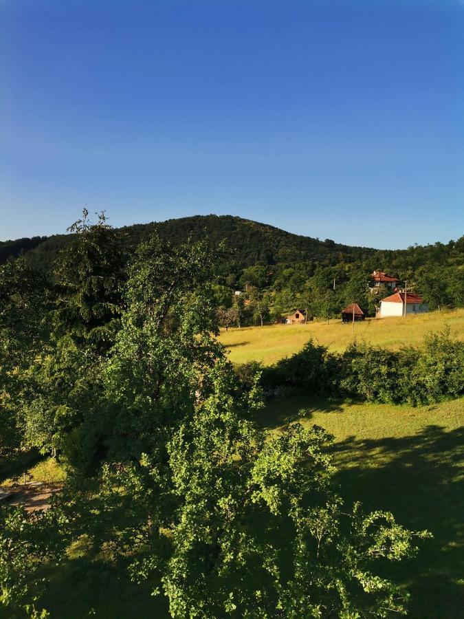 Srdica Kuca Villa Trnava  Exterior photo